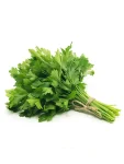 CORIANDRE - القزبر